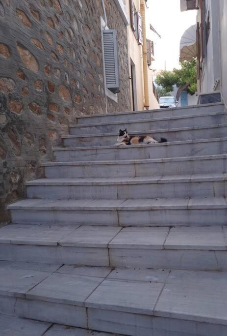 Вилла Syros Stone Yard House Эрмуполис Экстерьер фото